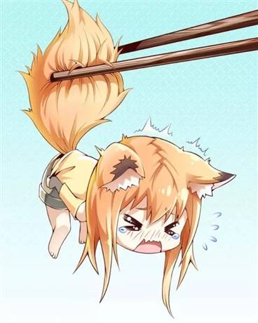 捡到一只小狐狸