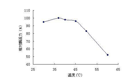 酶活力