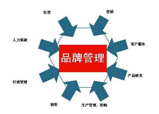品牌管理专业