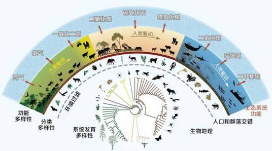 中国生物多样性信息系统