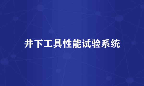 井下工具性能试验系统