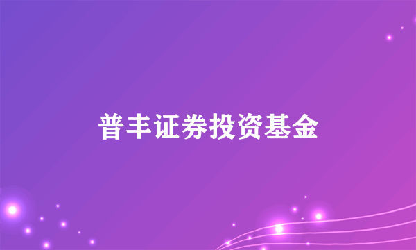 普丰证券投资基金