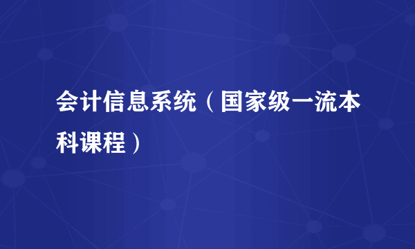 会计信息系统（国家级一流本科课程）