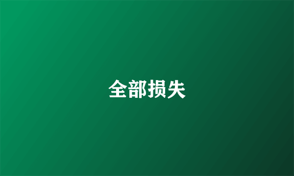 全部损失