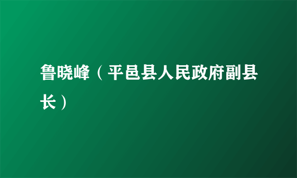 鲁晓峰（平邑县人民政府副县长）
