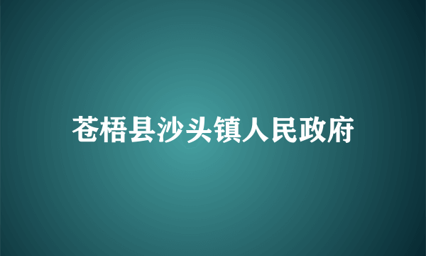 苍梧县沙头镇人民政府