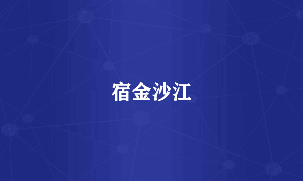 宿金沙江