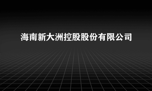 海南新大洲控股股份有限公司
