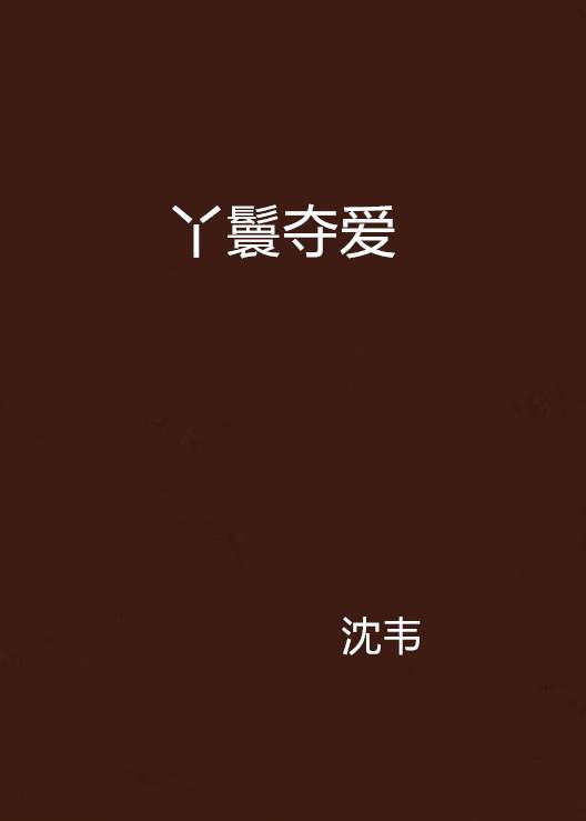 丫鬟夺爱