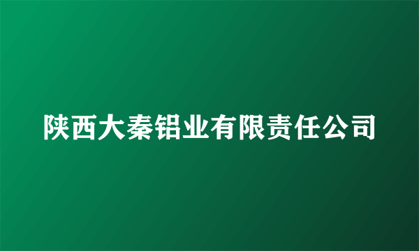 陕西大秦铝业有限责任公司