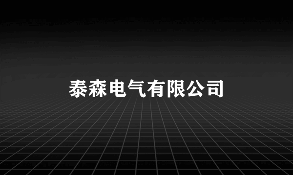 泰森电气有限公司