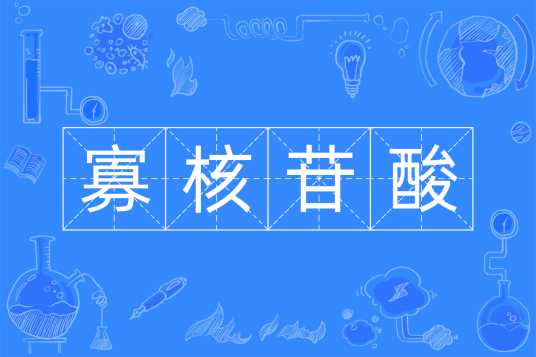 寡核苷酸