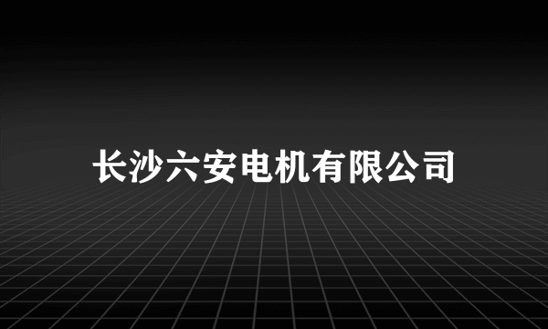 长沙六安电机有限公司