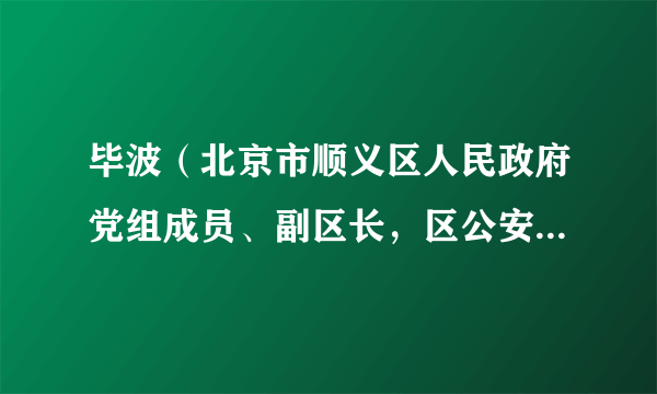 毕波（北京市顺义区人民政府党组成员、副区长，区公安分局党委书记、局长）