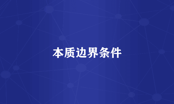 本质边界条件