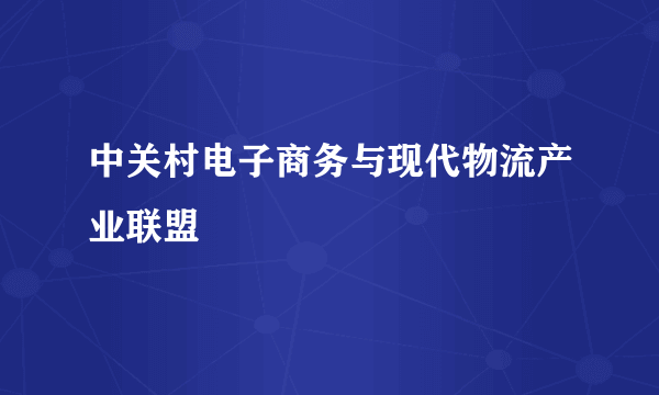 中关村电子商务与现代物流产业联盟