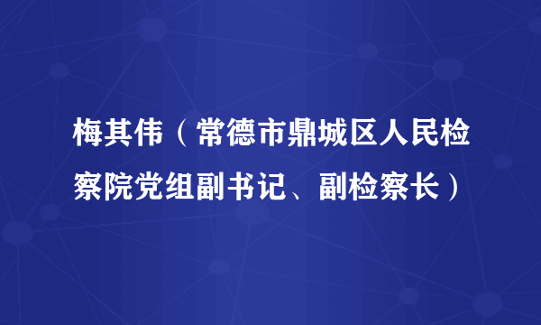 梅其伟（常德市鼎城区人民检察院党组副书记、副检察长）