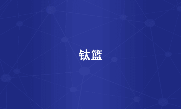 钛篮