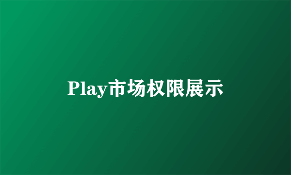 Play市场权限展示