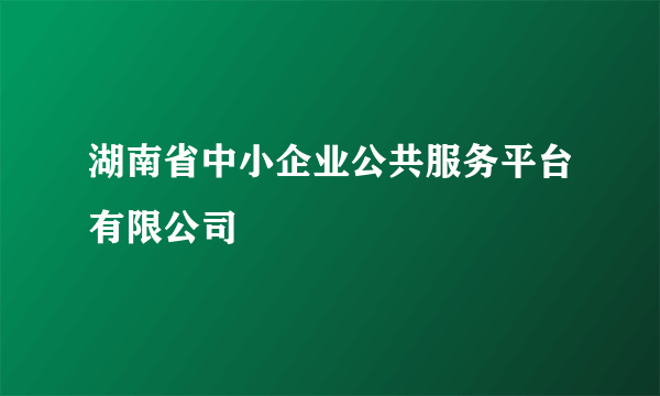 湖南省中小企业公共服务平台有限公司