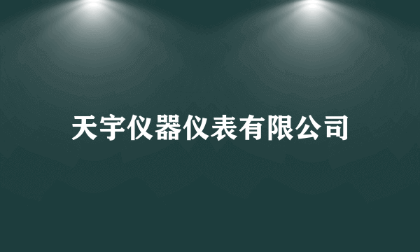 天宇仪器仪表有限公司