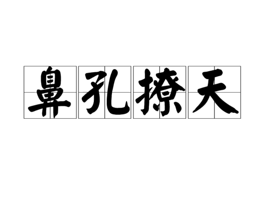 鼻孔撩天