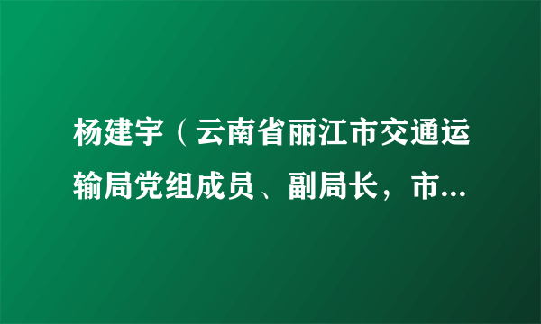 杨建宇（云南省丽江市交通运输局党组成员、副局长，市邮政管理局党组书记、局长）
