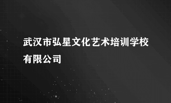武汉市弘星文化艺术培训学校有限公司