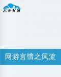 网游言情之风流人生快意梦
