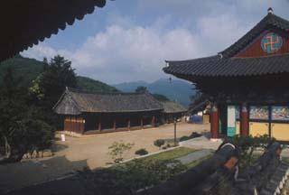 泰安寺