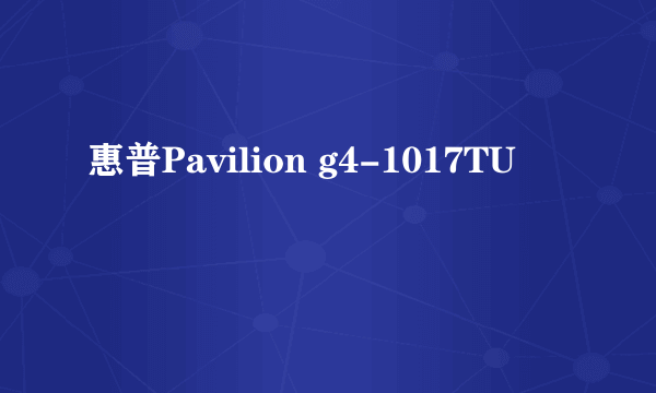 惠普Pavilion g4-1017TU