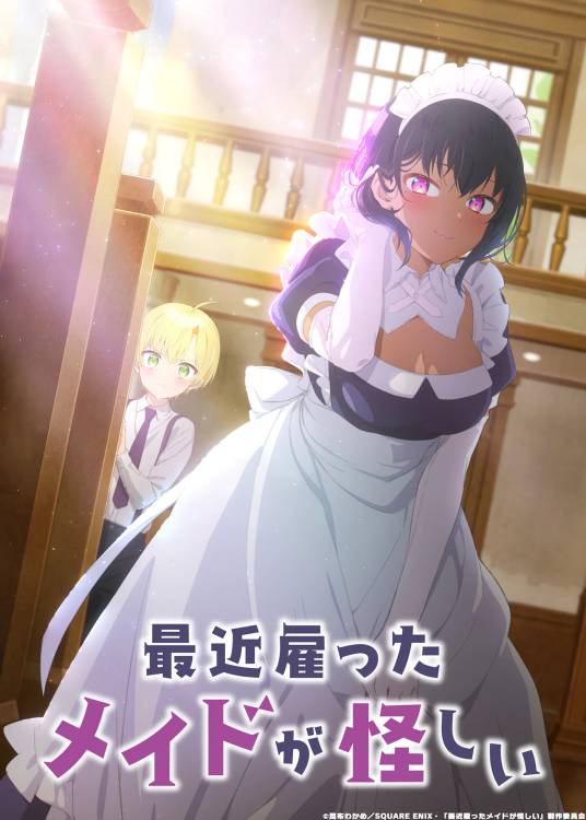 新来的女佣有点怪（SILVER LINK.,BLADE改编的电视动画作品）