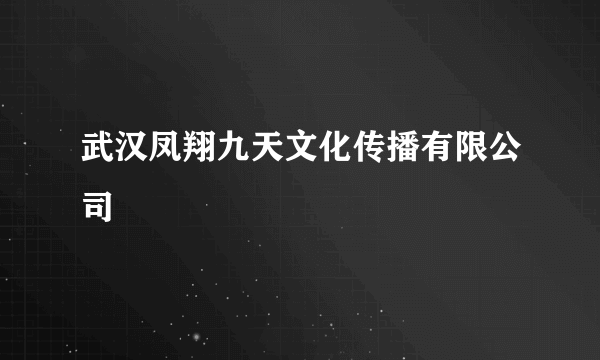 武汉凤翔九天文化传播有限公司