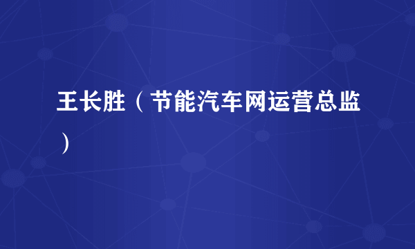 王长胜（节能汽车网运营总监）