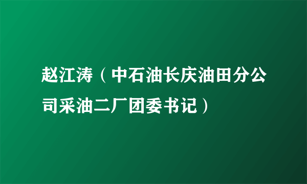 赵江涛（中石油长庆油田分公司采油二厂团委书记）