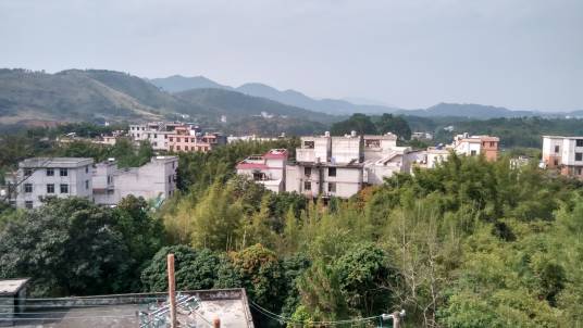 回龙村（广西梧州市藤县天平镇回龙村）