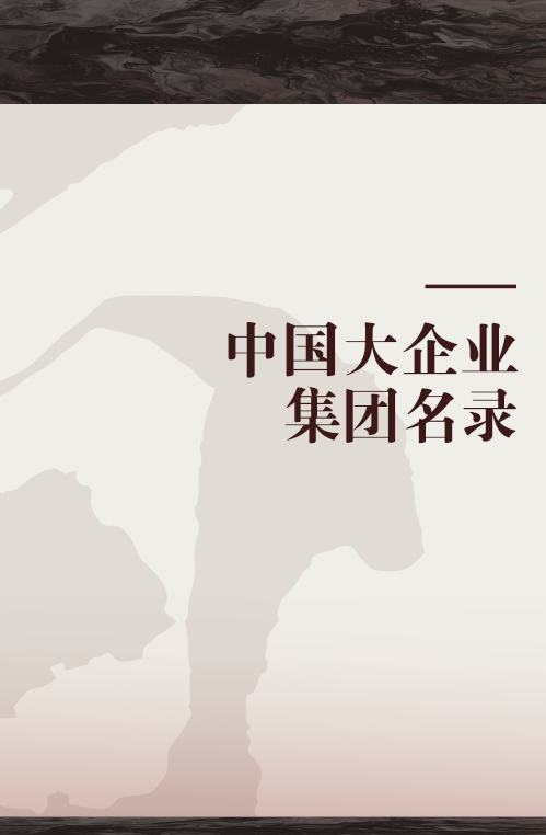 中国大企业集团名录