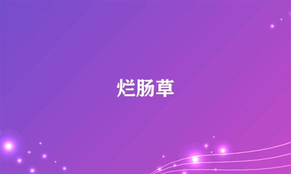 烂肠草
