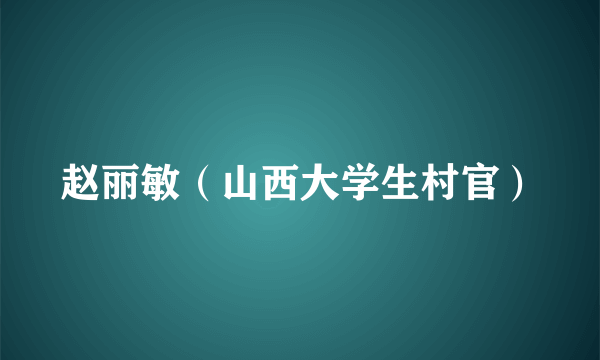 赵丽敏（山西大学生村官）