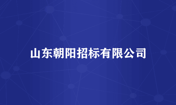 山东朝阳招标有限公司