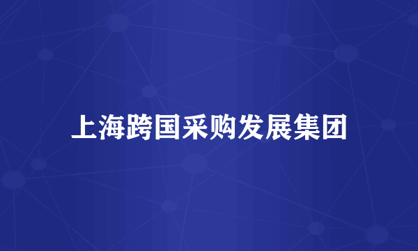 上海跨国采购发展集团