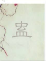 夜华（小说《僵生小说》系列中的角色）