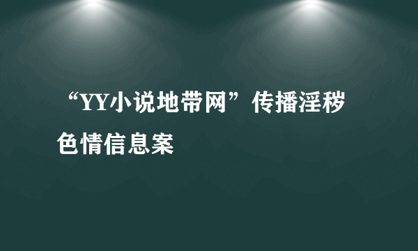 “YY小说地带网”传播淫秽色情信息案