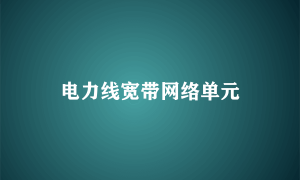 电力线宽带网络单元
