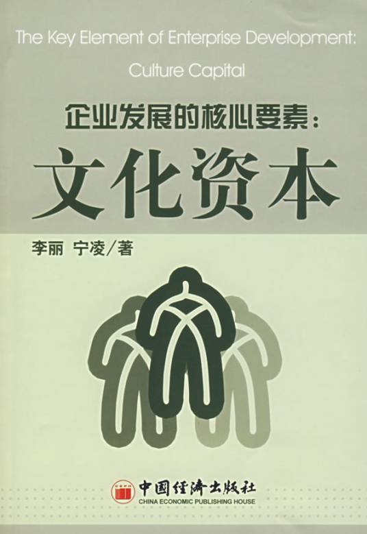 文化资本（由企业文化以及文化的物质载体所构成的资本）
