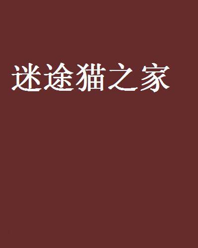 迷途猫之家
