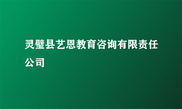 灵璧县艺恩教育咨询有限责任公司