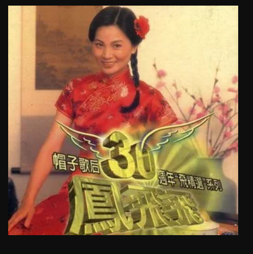 帽子歌后30周年“飞精选”III