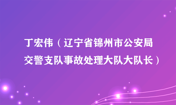 丁宏伟（辽宁省锦州市公安局交警支队事故处理大队大队长）