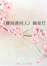 （藤间斋同人）摘星灯